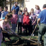 Őshonos fafajtákat ültettek a gyerekek az iskola elé