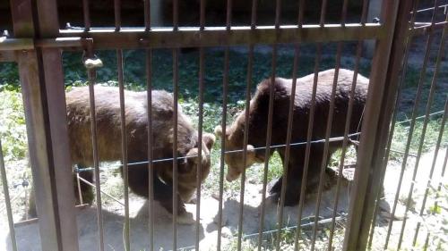 received 266353094548256