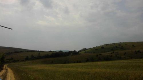 received 289526095388520