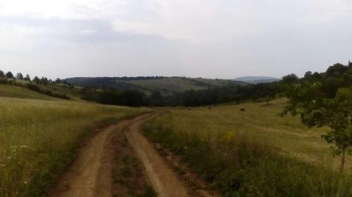 received 479461189468291