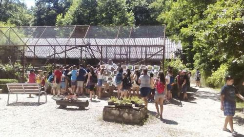 received 543746996339887