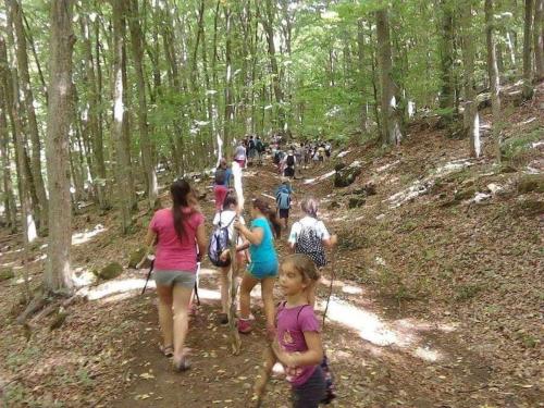 received 843529676141896